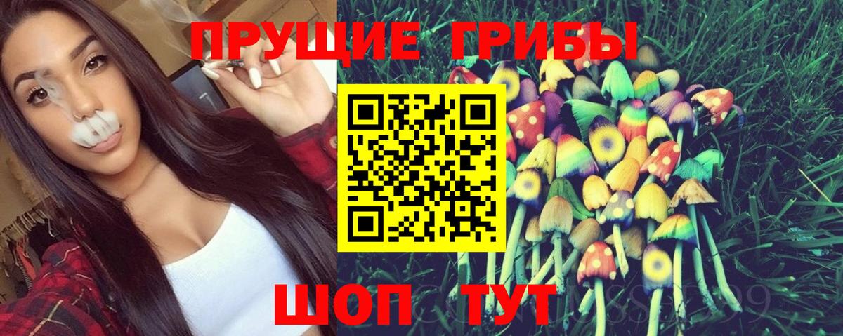 Псилоцибиновые грибы Psilocybine cubensis Иркутск